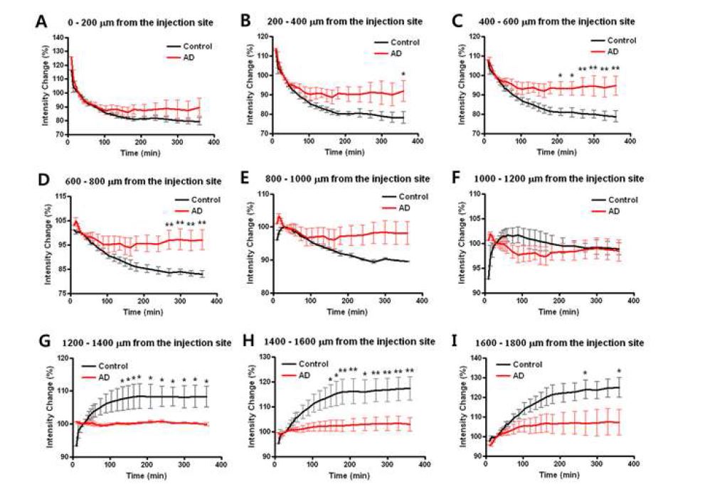 그림 12. 주입 위치로부터 A . 0-200 μm에서 J. 1800-2000 μm 까지의 평균 형광 세기 변화. 빨간색 그래프는 알츠하이머병 생쥐(AD)를 나타내고, 검은색 그래프는 정상 생쥐(control)을 나타낸다
