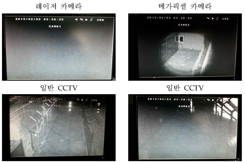 맑은 날 야간 근거리 영상