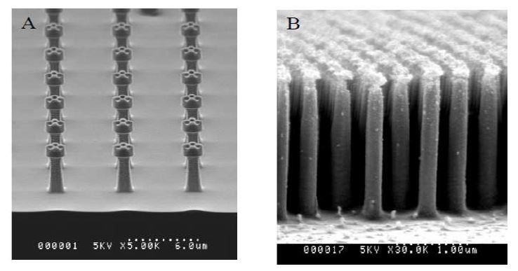 그림 4-26. SEM cross sections of nanopillars fabricated with a deep reactive ion etching (RIE) with diameter of (A) micron and (B) submicron