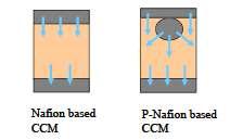 촉매층이 코팅된 Nafion 막과 다공 성 표면을 갖는 Nafion 막의 셀 운전 중 발생 한 back diffusion된 물의 cathode에서 anode로의 이동 방향.