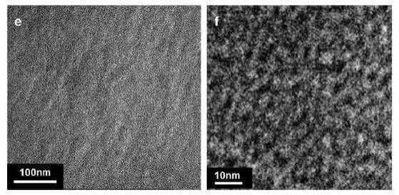가지구조 BPS 의 TEM nano-sized 친수채널 이미지.