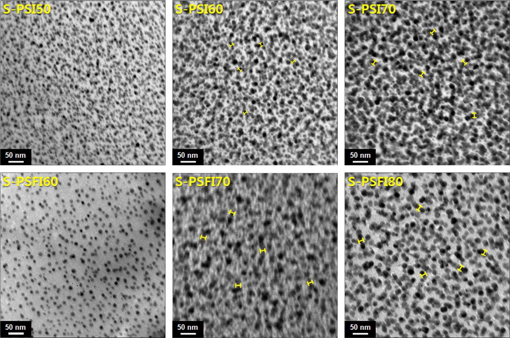 S-PSI & S-PSFI 고분자의 TEM 이미지.