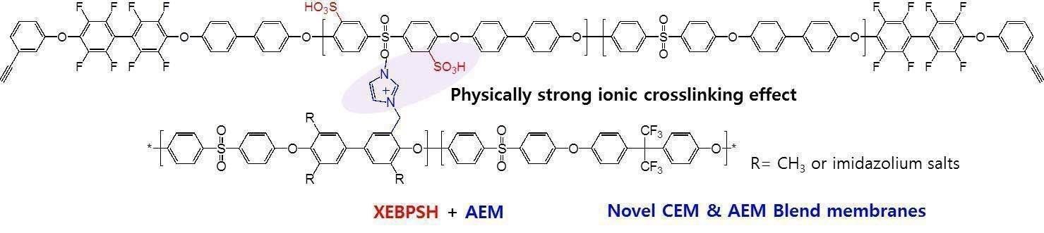 말단가교 고분자 XEBPSH 의 술폰산기와 AEM의 이미다졸늄과의 이온결합