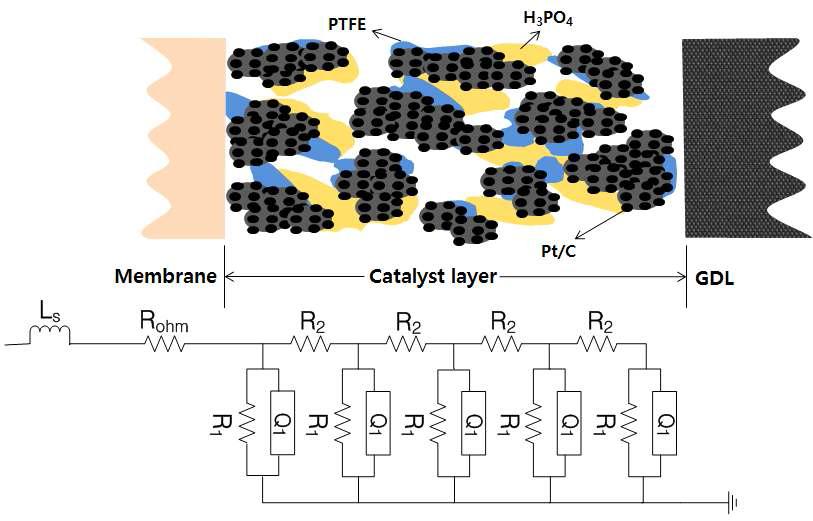 고온 PEMFC의 공기극 등가회로 도식화