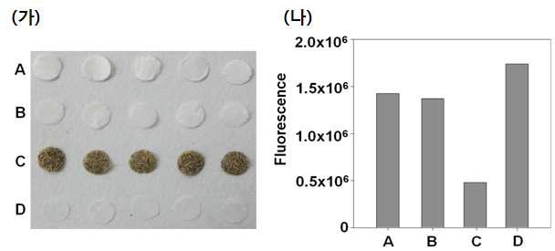 다양한 섬유소의 종류(가)에 따른 CBD의 결합력을 형광으로 분석한 결과 (나)A, 섬유소 거름종이; B, Avicel; C, 팜 부산물(EFB); D, α-셀룰로스