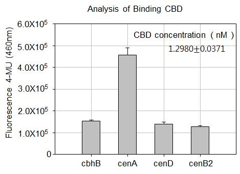 C. fimi 유래의 다양한 CBD의 결합력 비교 분석