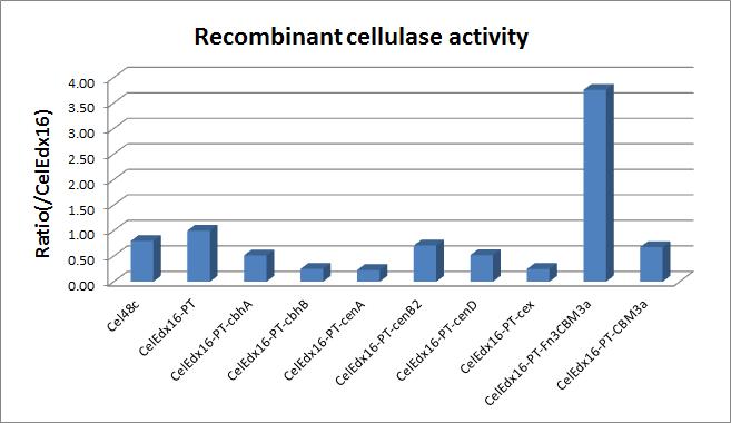각각의 재조합 단백질의 cell crude를 이용하여 결정형 섬유소인 avicel에 대한 상대적인 활성 확인