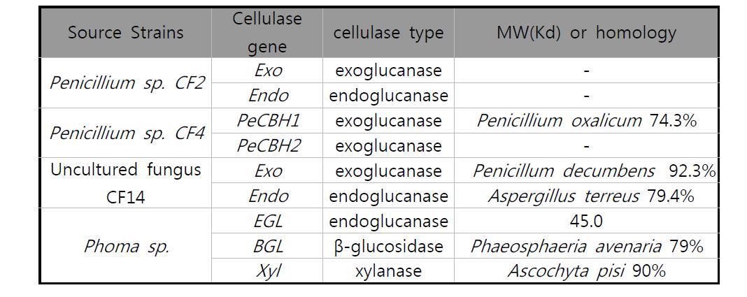 확보된 신규 cellulase 유전자 및 특성