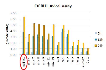 Avicel을 이용한 CtCBH1 활성 분석