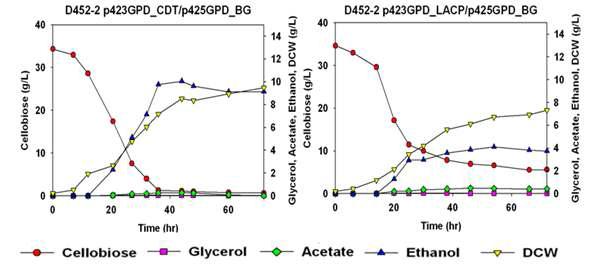 CDT/BG, LACP/BG 재조합 효모의 에탄올 발효 패턴