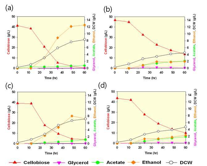CDT/BG, (b) TST/BG, (c) PST/BG (d) TTST/BG 재조합 효모의 에탄올 발효 패턴
