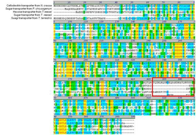 cellobiose 전달단백질들의 아미노산 서열 비교