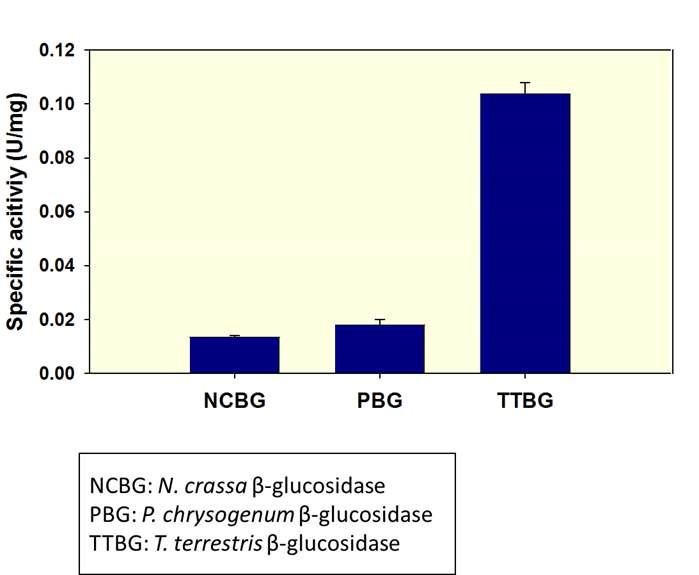 곰팡이 유래 intracellular β-glucosidase 활성 비교