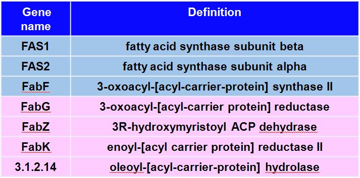 Fatty acid elongation loop 조절 유전자 및 정의