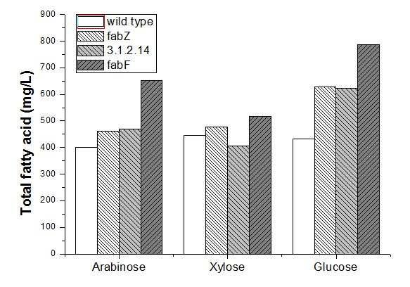arabonose, xylose와 glucose 이용하여 다른 탄소원을 통한 지방산 생산