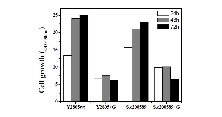 S. cerevisiae Y2805 및 S. cerevisiae ATCC 200589 wt strain에 대한 geraniol toxicity