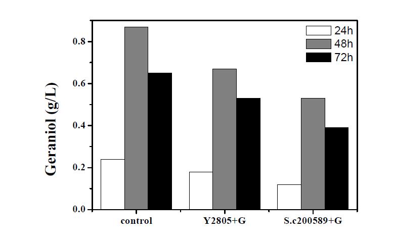 S. cerevisiae Y2805 및 S. cerevisiae ATCC 200589 wt strain에 대한 배양액내 geraniol 농도의 경시변화