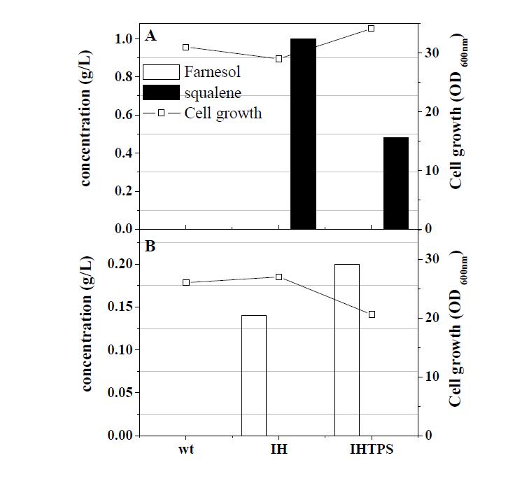 효모 균주에 따른 이소프레노이드 탄화수소 생산성* 비교 (72시간 배 양), A: S.cerevisiae Y2805, B: S. cerevisiae ATCC 200589