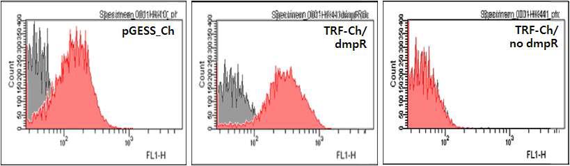 TRF-Ch의 FACS 분석결과