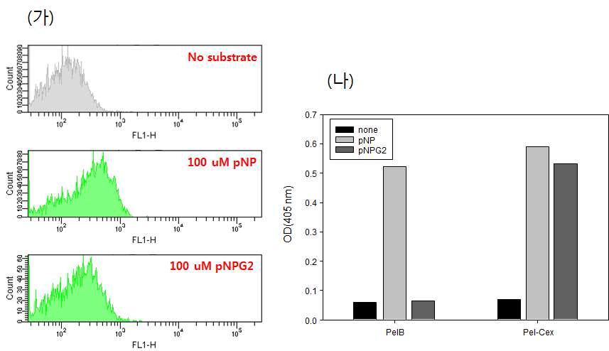 PelB-Cex 효소 활성 확인, (가) FACS 분석, (나) pNP 발색 분석