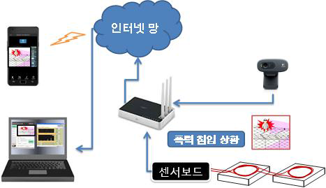 Fiber opti sensor network with CCTV