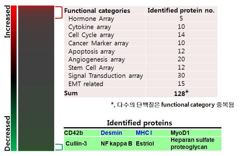 List of PMI candidate marker proteins in rat psoas muscle using antibody array
