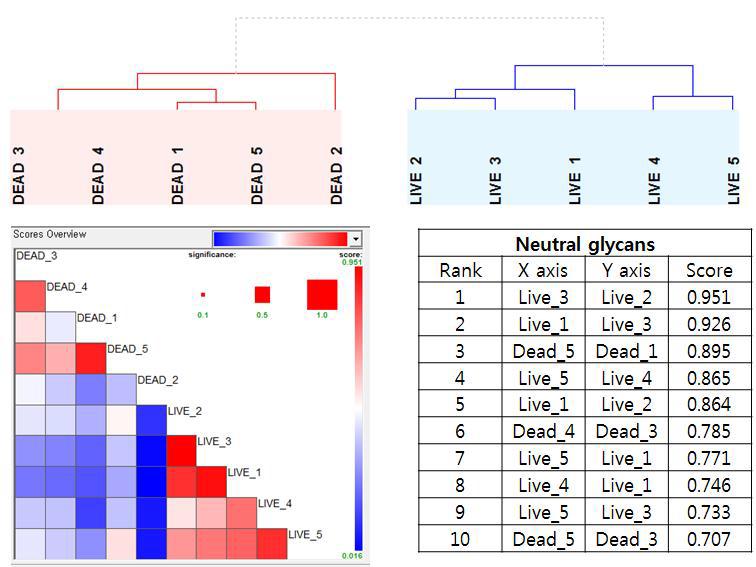 Correlation of neutral glycans between live and just dead rat groups