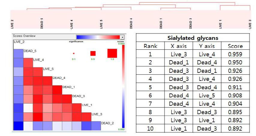 Correlation of sialyted glycans between live and just dead rat groups