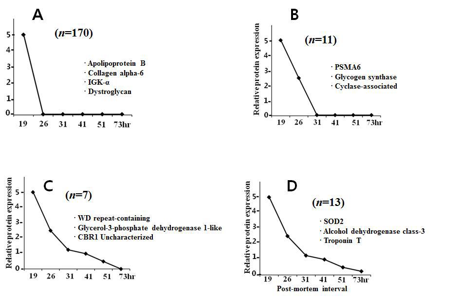 Change of expression pattern of human heart cadaver proteins post-mortem