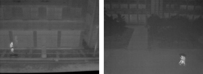 Examples of infrared thermal images in low-light conditions. (left) nighttime. (right) raining.
