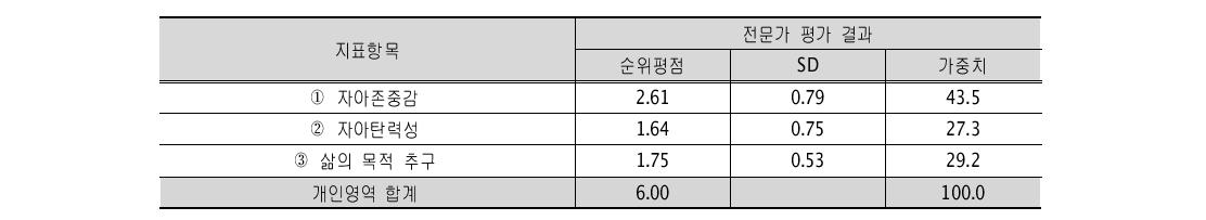 개인 영역 전문가 평가 결과