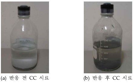 탄소원을 공급한 청양 지하수에서 나타나는 색 변화