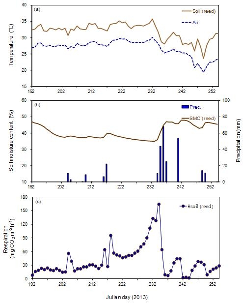 Fig. 3.2.24. Temporal variations of the observed daily mean (a) air temperature (℃) and soil temperature (℃) at the 5 cm depth, (b) soil moisture content (%) at the 5 cm depth and precipitation (mm, bar), and (c) soil respiration (mg CO2 m-2 h-1) at the Boseong measurement site from July to September in 2013