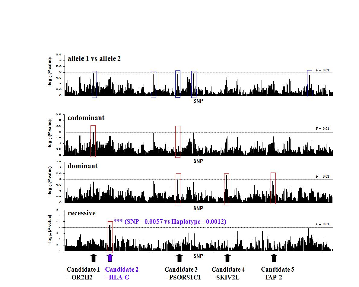 MHC SNP chip을 이용한 가와사끼병의 유전 연관성 분석.