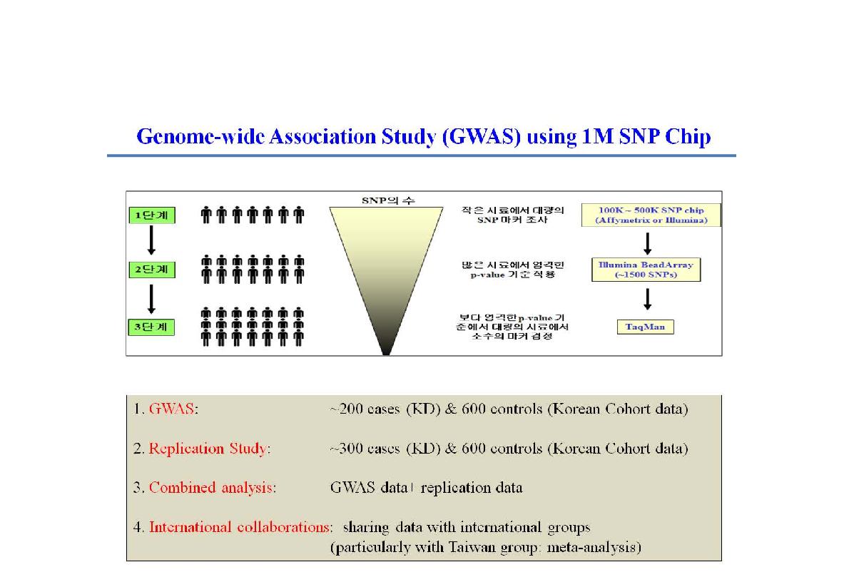 가와사끼병 원인 유전자 규명을 위한 유전 연관성 연구 방법의 개요.