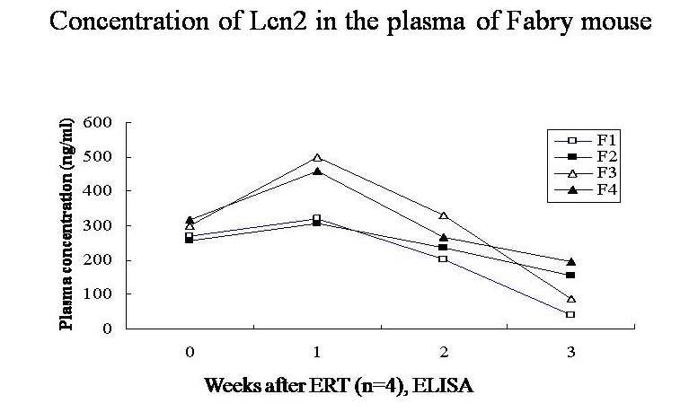 효소치료에 따른 혈중 Lcn2 농도의 변화