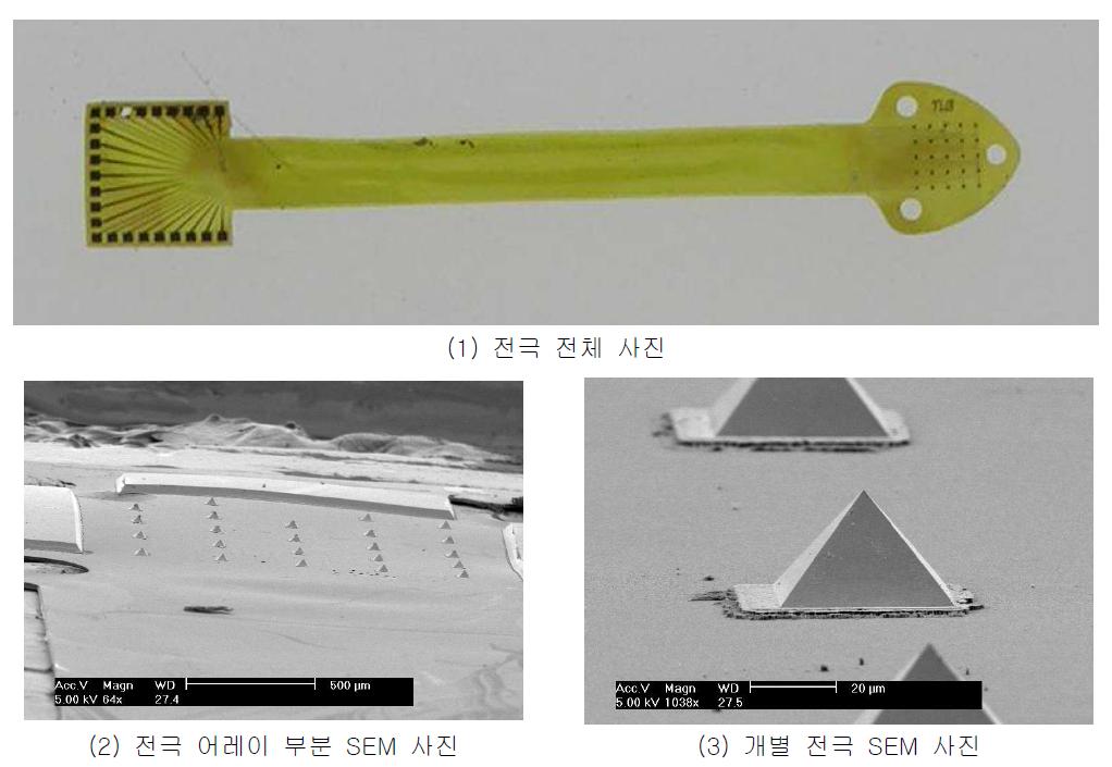 polyimide를 기판으로 하는 피라미드 구조의 신경전극 사진