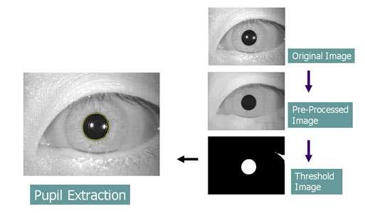 안구 영상으로부터 동공의 위치 및 크기 추출방법. 원본 영상에 전처리과정을 통하여 동공의 어두운 영역을 강조한 후 문턱치보다 낮은 부 분을 찾은 후 찾아진 영역을 타원으로 추정하여 동공의 위치를 찾는다.