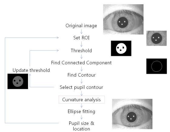 실시간 안구 영상 처리를 위한 다이어그램. ROI와 adaptive thresholding technique이 사용되었다.