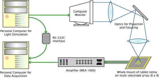 빛자극 및 데이터 획득 개략도