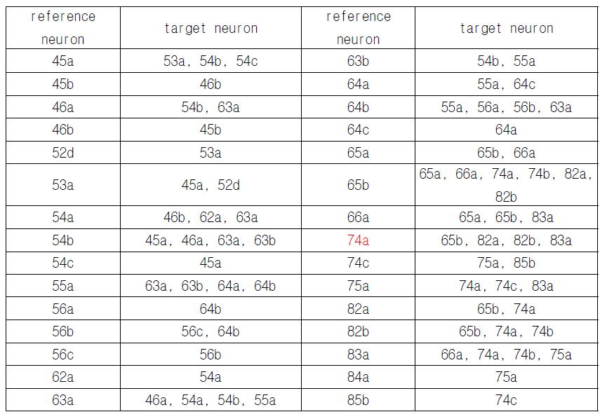 다른 기준세포로부터correlated firing을 보이는 망막 신경절세포의 쌍.