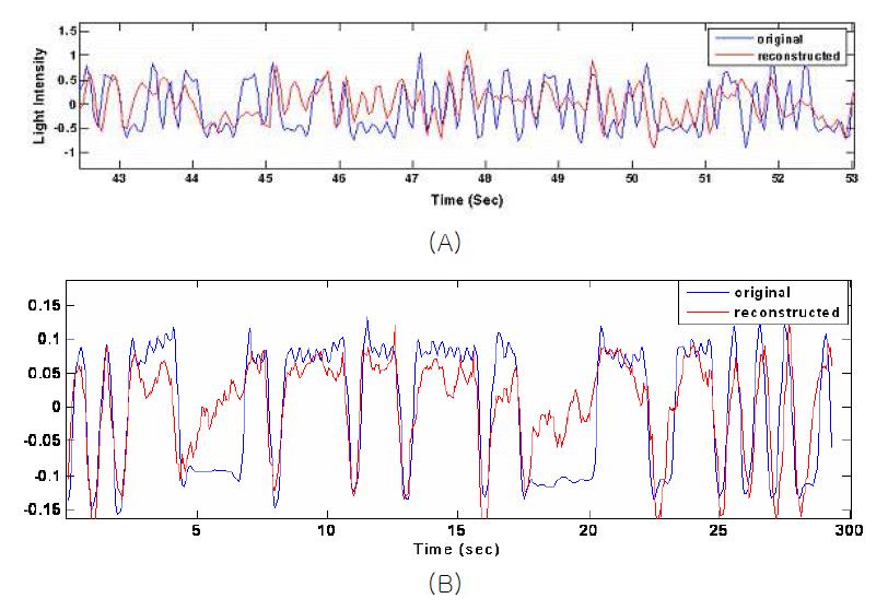 제시된 자극(청색)과 복원된 자극(적색)의 비교 (A) 바이너리 랜덤 (11 Hz), (B) 바이너리 랜덤 (2 Hz)