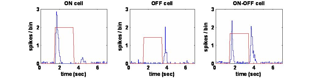 응답특성에 따른 망막신경절세포의 유형구분(A) ON 세포, (B) OFF 세포, (C) ON/OFF 세포