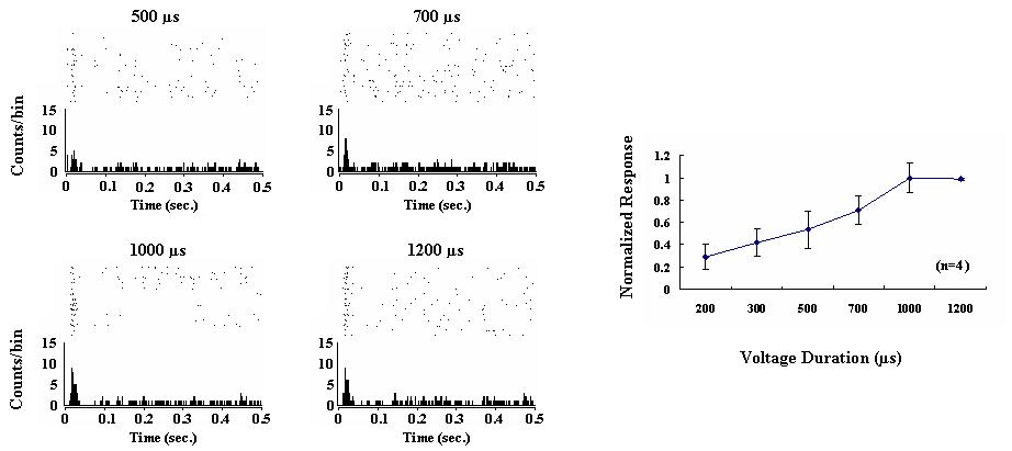 왼쪽: 정상망막에서 전압자극 시간 변화 (200 ~ 1200 us)에 의해 유발된 신경절세포의 반응 (전압은 1.5 V로 고정). 오른쪽: 전압자극 시간 변화에 의한 Normalized response curve.