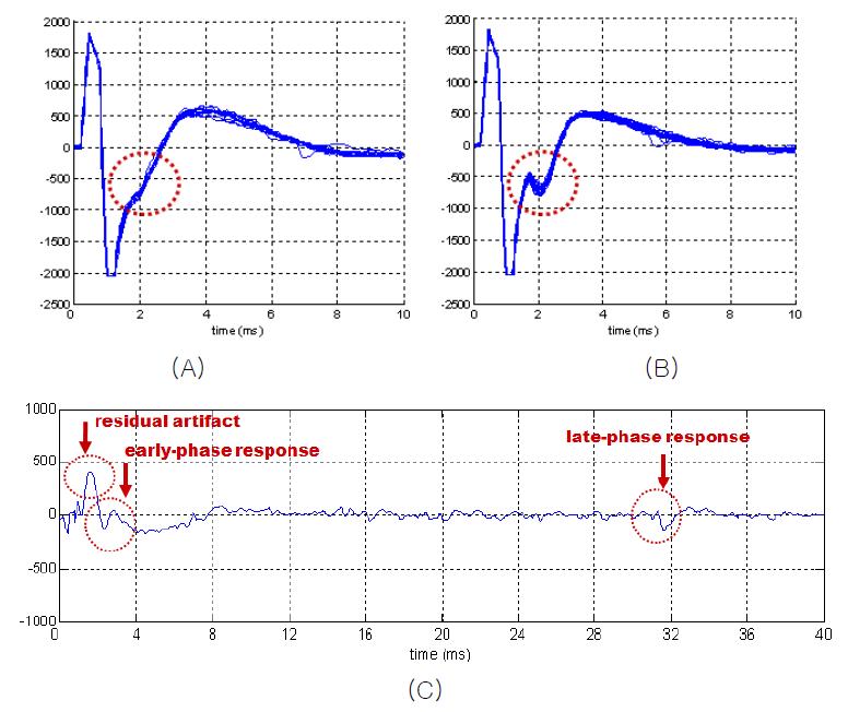 (A) early-phase response가 없는 펄스 아티팩트. (B) early-phase response와 함께 기록된 펄스 아티팩트. (C) (B)의 평균파형에서 (A)의 평균파형을 빼준 결과, late-phase response와 비슷한 크기의 response가 나타나는 것이 관찰됨.