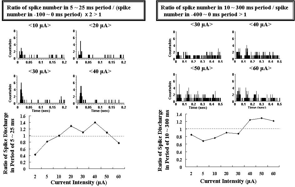 정상망막(왼쪽)과 변성망막(오른쪽)에서의 전기자극에 의해 유발된 반응의 정량화. 위: 전류자극의 세기에 따라 변하는 신경절세포의 스파이크. 아래: 반응의 정의에 따라 계산한 자극 전과 후의 spike discharge의 ratio (1.0 이상이면 양성반응).