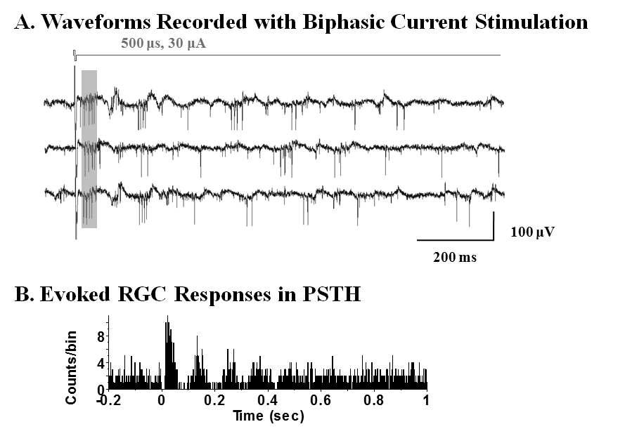 변성망막에서 전기자극에 유발된 망막 신경절세포의 파형 (A)과 PSTH로 확인한신경절세포의 시간적인 반응 패턴 (temporal response pattern)