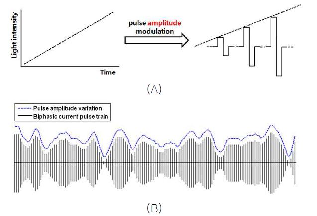 (A) 빛의 밝기변화에 따라 자극펄스의 세기를 증가시키는 pulse amplitude modulation방법의 개념도. (B) 인공시각장치에 입력되는 빛의 밝기변화를 모사하여 구성한 자극펄스 train.