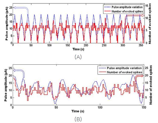 자극의 세기변화와 각 펄스에 의해 유발된 스파이크의 개수를 비교한 결과 (A) 삼각파형형태. (B) 0.1 Hz 저대역필터를 통해 smoothing된 가우시안 랜덤 파형형태.
