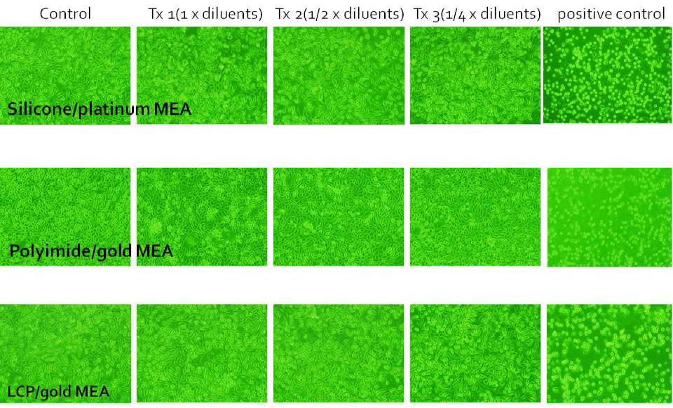 음성대조군(가장 왼쪽), 미세전극어레이 용출액 처리군(가운데),양성대조군(가장 오른쪽)에서 48시간 배양후 현미경으로 관찰한 세포성장도